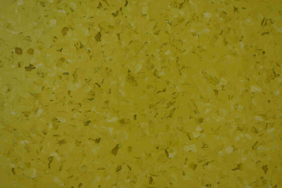 Dark Emery Homogeneous PVC Flooring