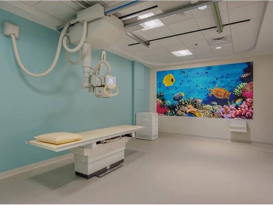 Healthcare Flex Vinyl Flooring For Medical Environment