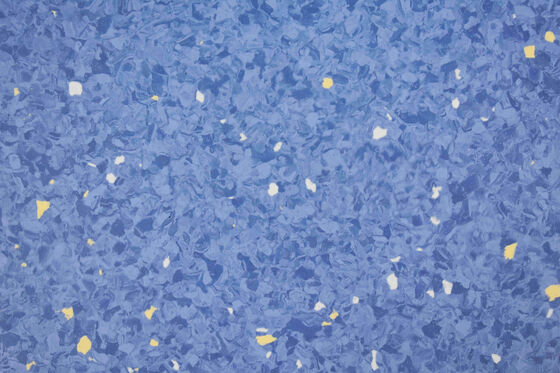 Industrial Use Homogeneous Tiles Flooring Waterproof PVC Flooring Roll
