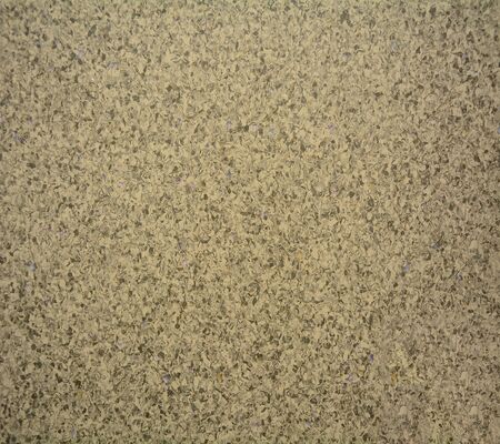 High Performance Homogeneous Vinyl Flooring Used For Hospital 2*20m