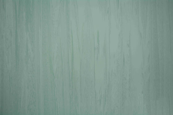 Non Slip 3mm Hospital PVC Flooring
