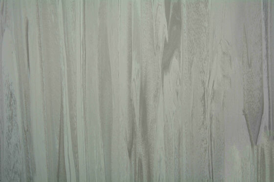 Anti - Skid 2mm Hospital PVC Flooring Commercial Grade Homogeneous Vinyl Roll