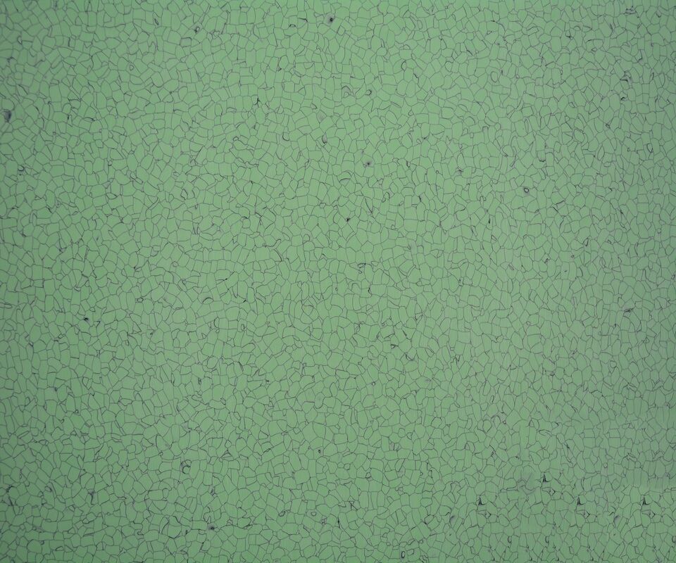 2mm Thick Anti Static Flooring , 600*600mm Anti Slip Vinyl Flooring