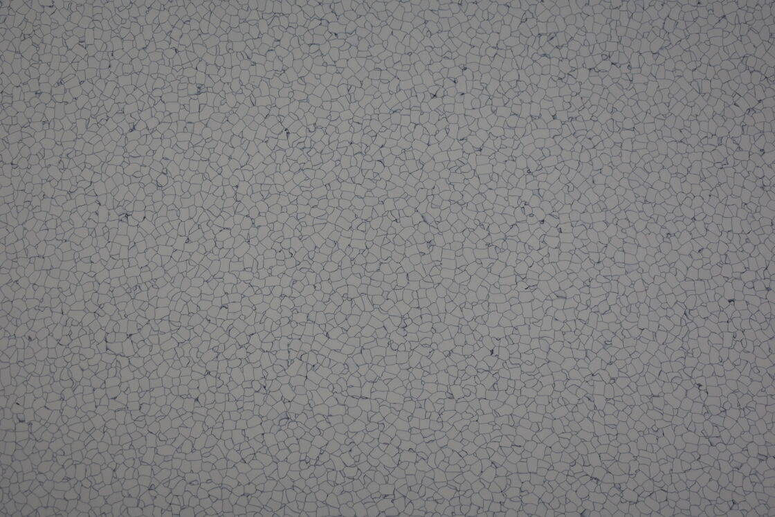 Anti Slip 2mm Thickness Anti Static Vinyl Flooring CE / SGS / ISO Certificate