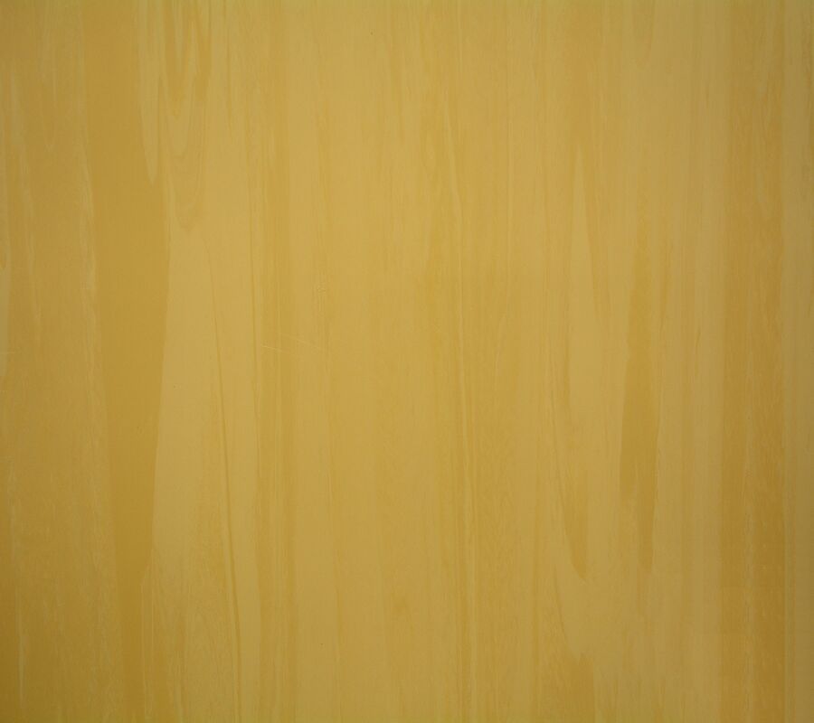 Anti Bacterial Homogeneous Tiles Flooring Different Patterns Available