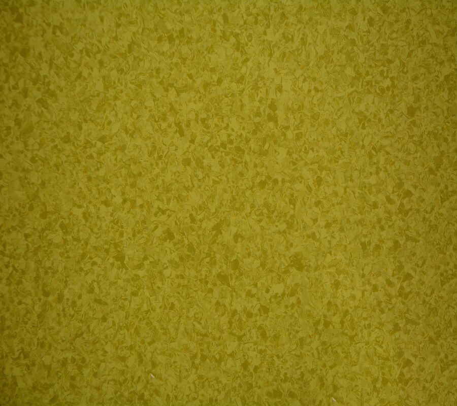 Virgin Homogeneous Pvc Flooring Indoor Pvc Homogeneous Vinyl 2*20M