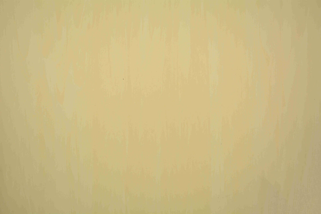 2mm Antibacterial Homogeneous Pvc Vinyl Flooring
