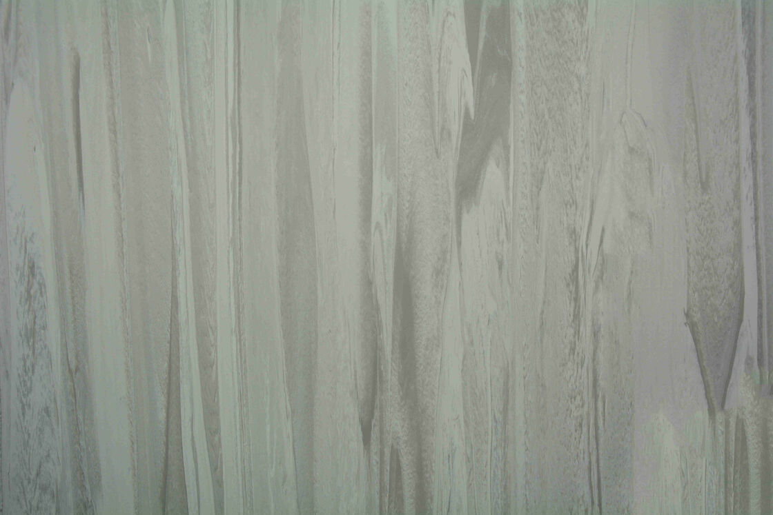 Anti - Skid 2mm Hospital PVC Flooring Commercial Grade Homogeneous Vinyl Roll